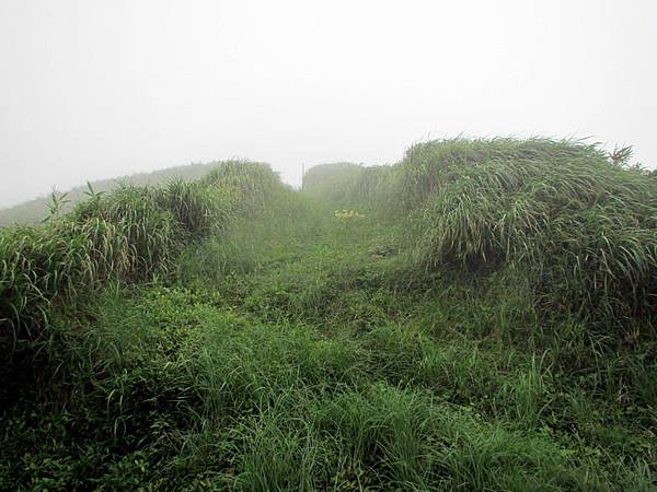 20130609竹子山古道065