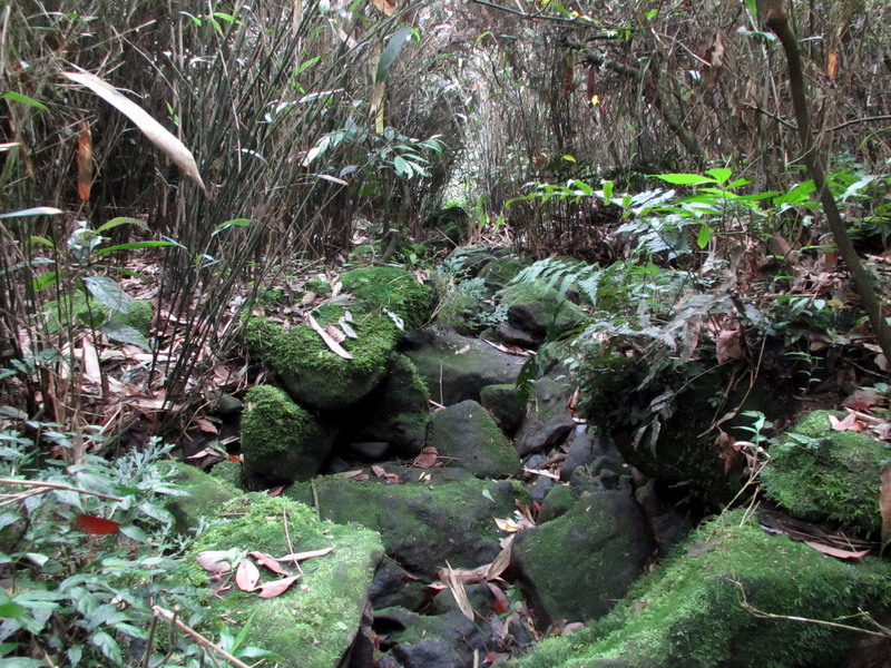 20130609竹子山古道085