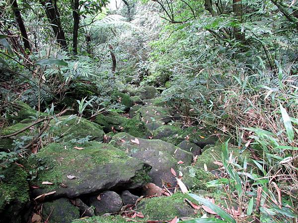 20130609竹子山古道086