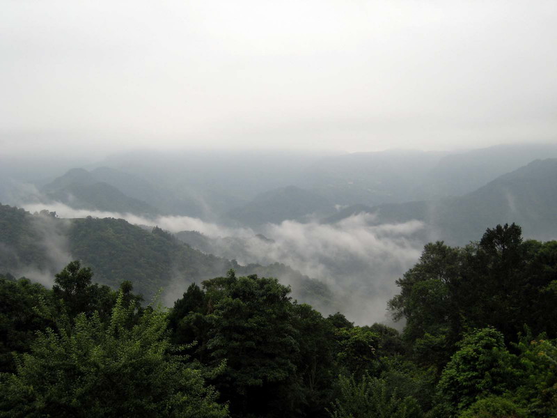 20130616坪林兩棲路跑017