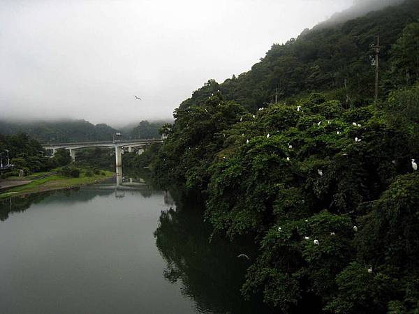 20130616坪林兩棲路跑040