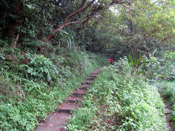 20140525碧山越野_004.jpg