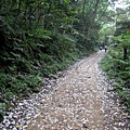 20110607大艽芎步道_043.jpg