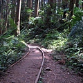 20110416加里山_078.JPG