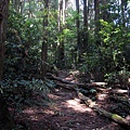 20110416加里山_038.JPG