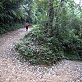 20110607大艽芎步道_044.JPG