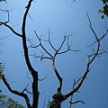 20110529雲森瀑布_022.JPG