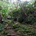 20110607大艽芎步道_032.JPG