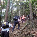 20110416加里山_034.JPG