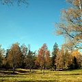 20101014 DAY09_010.JPG