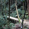 20110416加里山_049.JPG