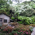 20110607大艽芎步道_026.JPG