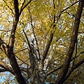 20101014 DAY09_075.JPG