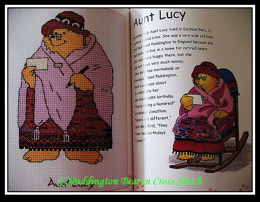 Paddington Bear In Cross Stitch_3.jpg