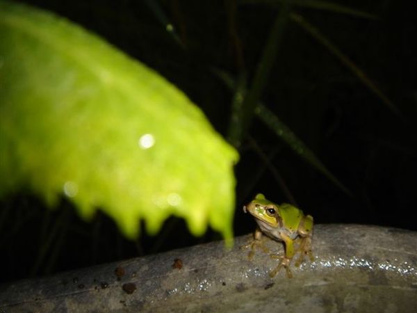 看好目標  我跳