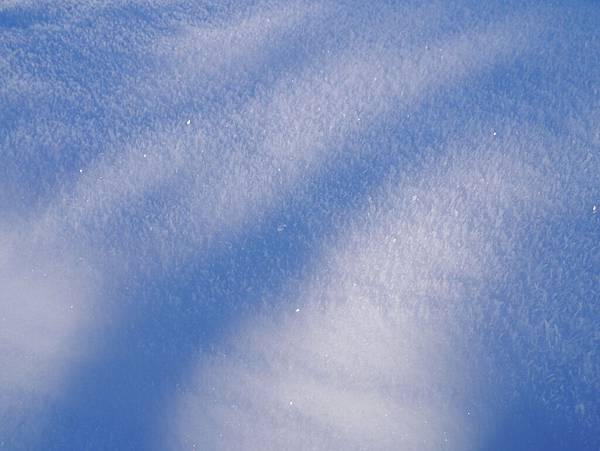 雪,真的是亮晶晶耶