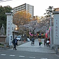 找公車站牌的路上看到蓮馨寺也有櫻花