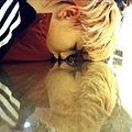 120605-ZELO.jpeg