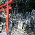 IMG_2127.JPG