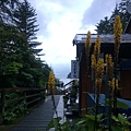 IMG_5005 - Copy.JPG
