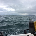 IMG_5033.JPG