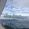 IMG_5036.JPG