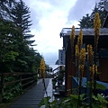 IMG_5005 - Copy.JPG