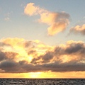 IMG_5250.JPG