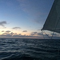 IMG_5241.JPG