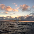 IMG_5246.JPG
