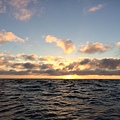 IMG_5248.JPG