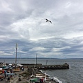 IMG_5805.JPG