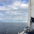 IMG_5875.JPG