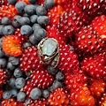 Alaska fruit.jpg