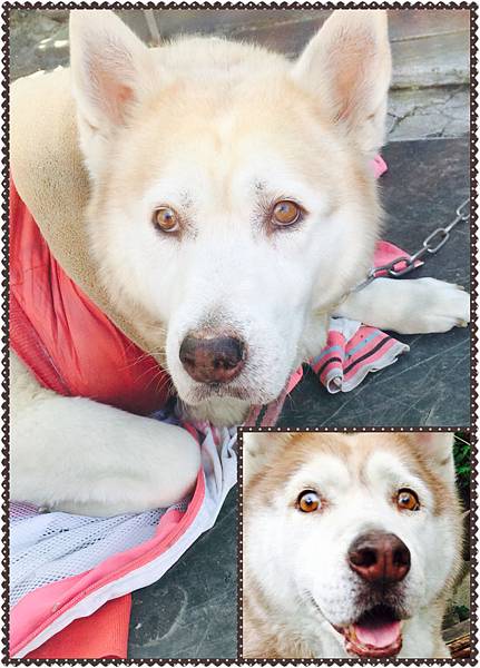 IMG_3041.JPG IMG_3041.JPG