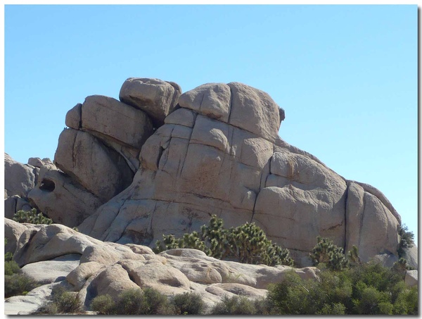 0722 Joshua Tree National Park (30)拷貝.jpg