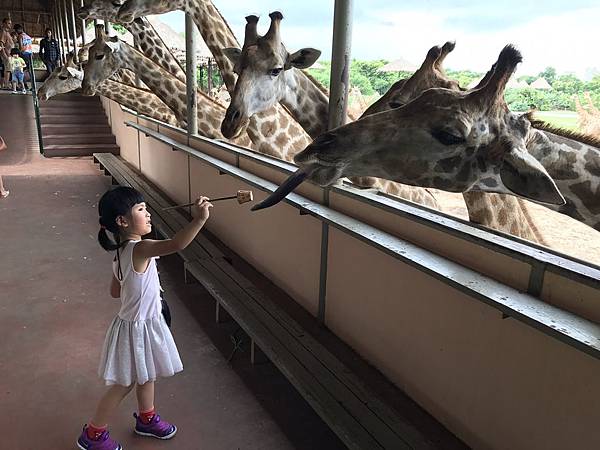 喀比day9_170716_0038.jpg 喀比day9_170716_0038.jpg