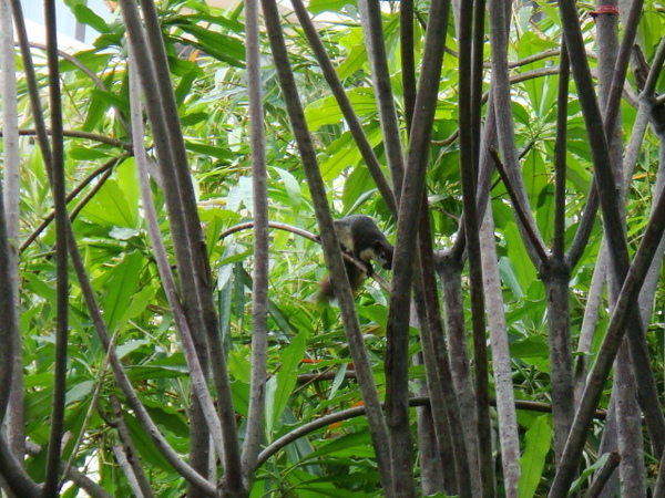 DSC06276.jpg
