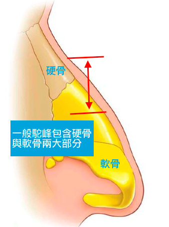 螢幕快照 2015-09-14 下午11.46.04