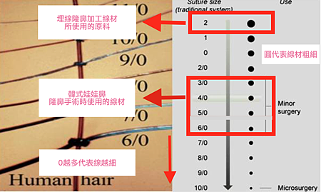 螢幕快照 2016-04-27 下午9.47.25.png