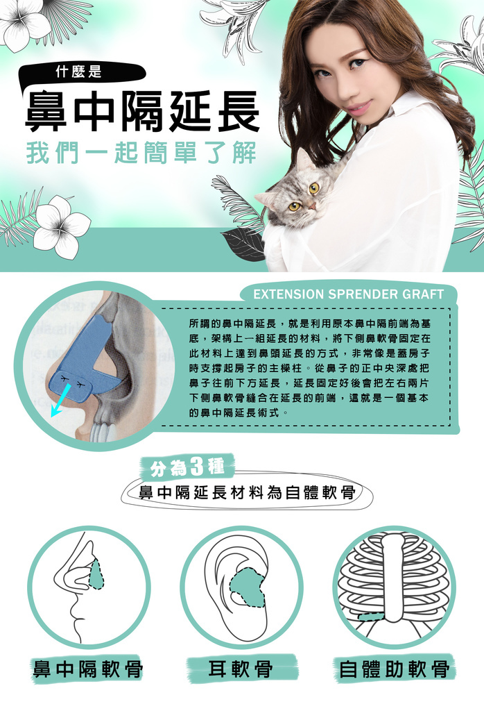 什麼是鼻中膈延長,隆鼻養貓,博恩妍