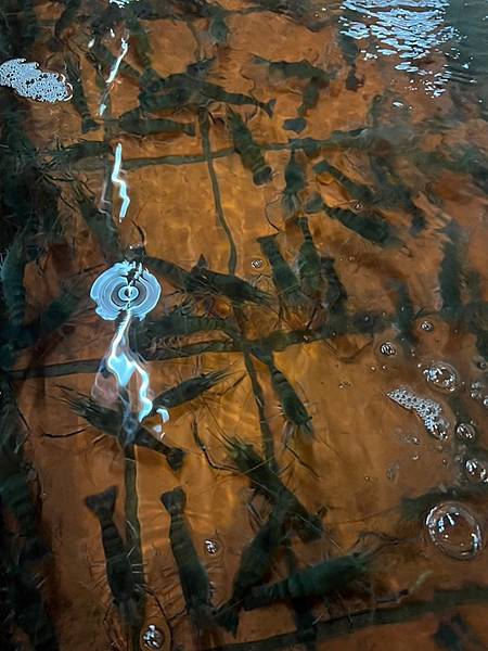 聚餐餐廳-黃金海岸活蝦之家 聚餐餐廳-黃金海岸活蝦之家