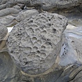 2012-0421瑞芳象鼻岩(085)