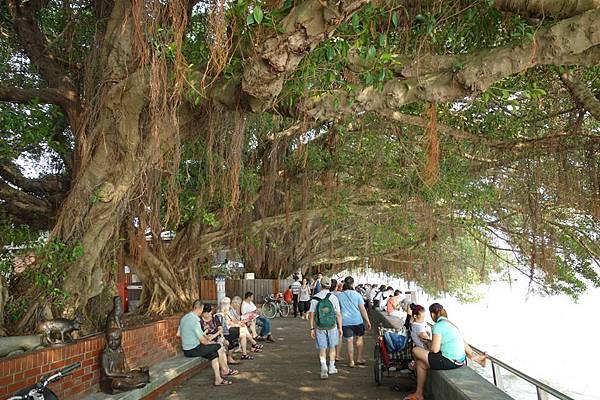 1005942_10151451360146179_1103995045_n