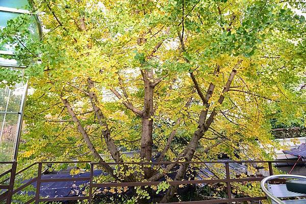 15380839_10154078122291179_983098613695815080_n