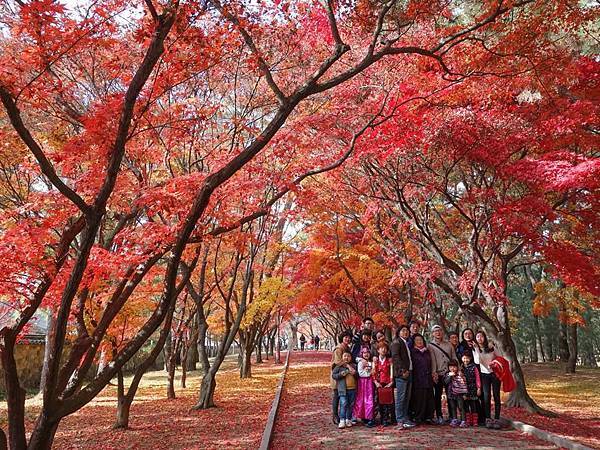 12105717_10153192786576179_9000171943553811316_n 12105717_10153192786576179_9000171943553811316_n