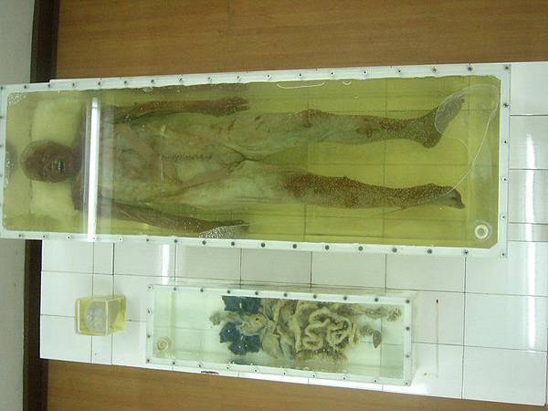 60386_434952766178_5872364_n