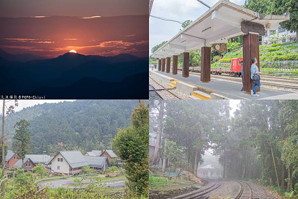 嘉義阿里山怎麼玩│阿里山看日出 奮起湖 德恩亞納社區 多林車站之交通住宿懶人包旅遊攻略