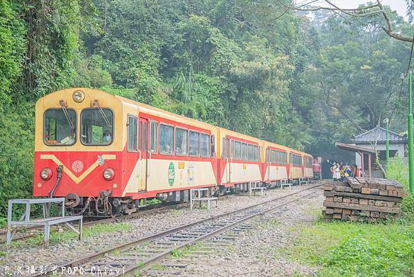 阿里山小火車鹿麻產車站15a梨園寮.JPG