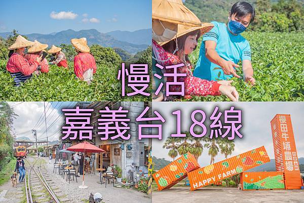 嘉義台18線阿里山公路觀光旅遊 .jpg